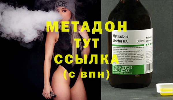 PSILOCYBIN Бородино