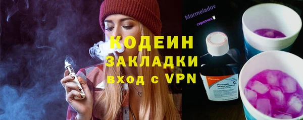 дживик Бронницы