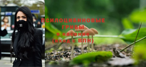 PSILOCYBIN Володарск