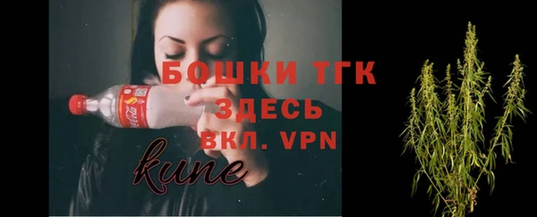 PSILOCYBIN Бородино