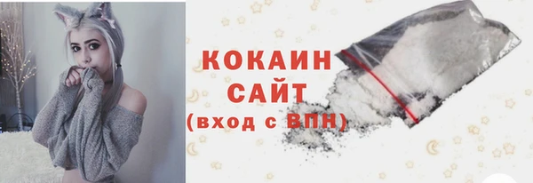 дживик Бронницы