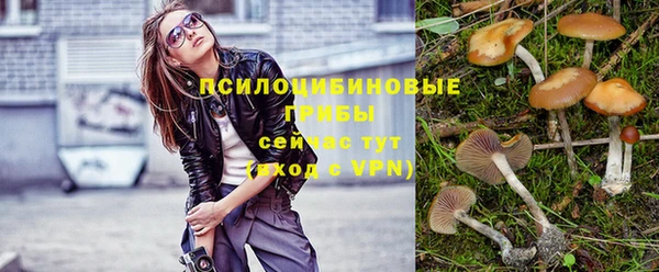 PSILOCYBIN Володарск