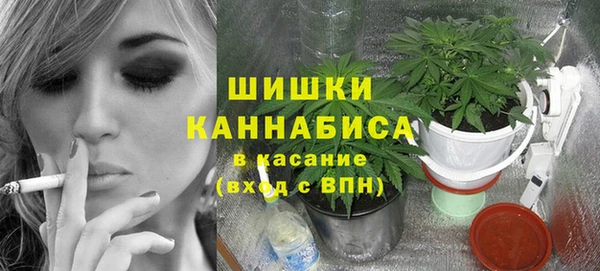 дживик Бронницы
