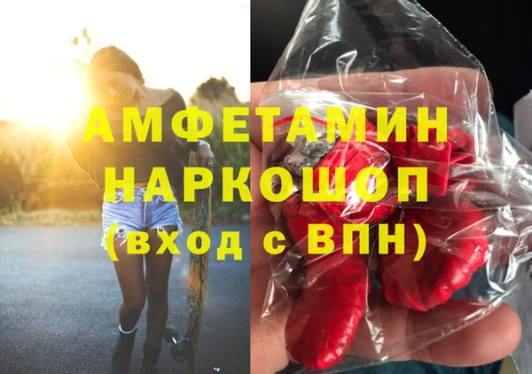 PSILOCYBIN Бородино