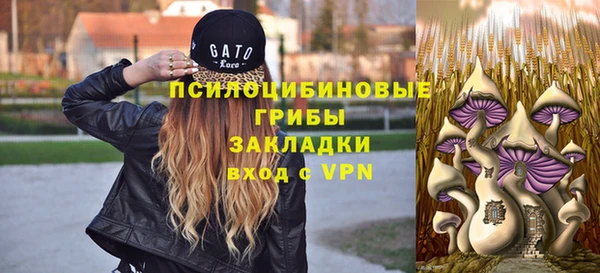 дживик Бронницы