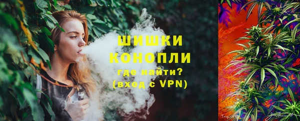 PSILOCYBIN Бородино