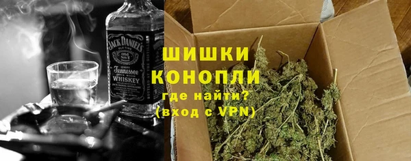 дживик Бронницы