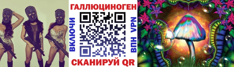 кракен вход  Инта  Галлюциногенные грибы Psilocybine cubensis 